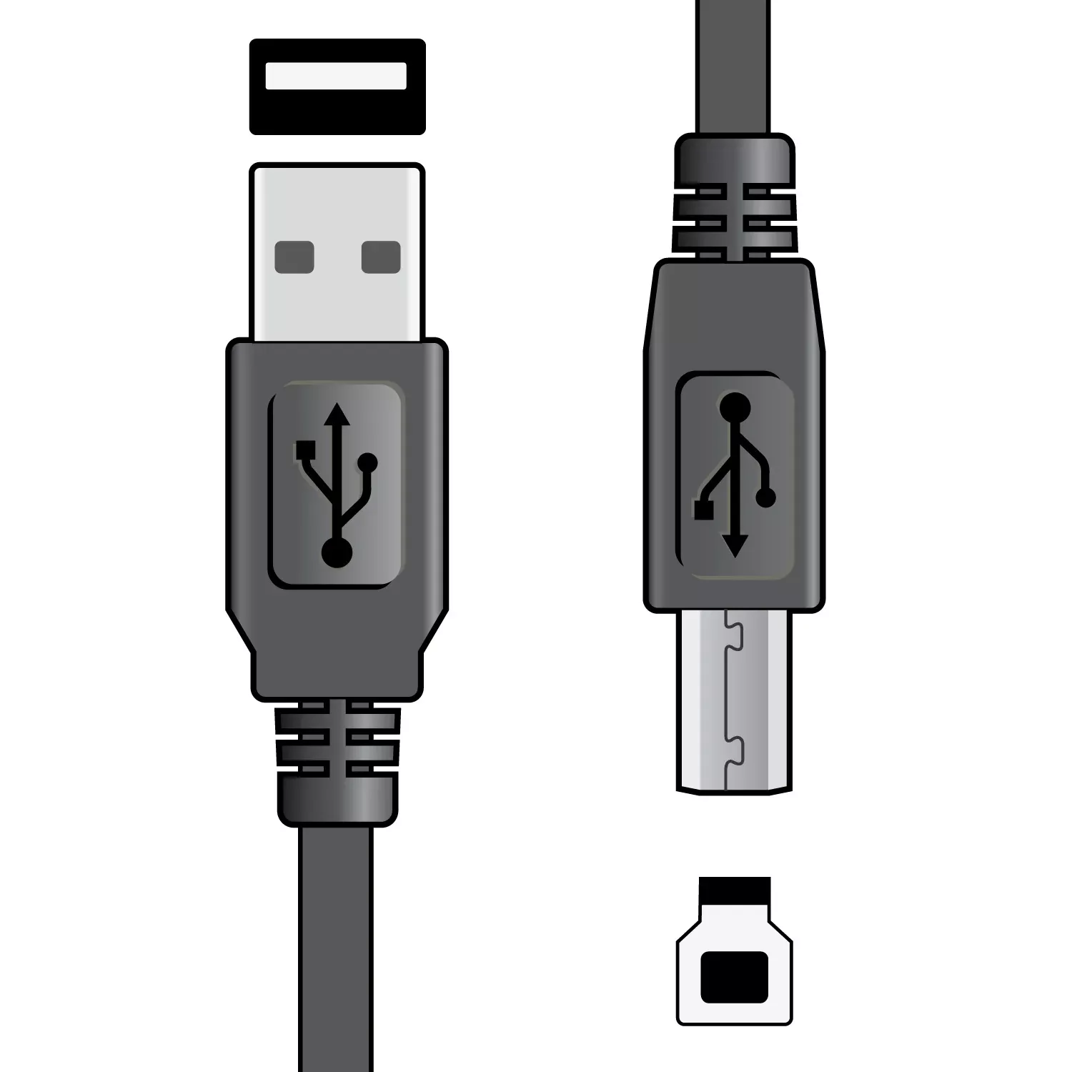 AV:Link USB 2.0 Type A Plug to Type B Plug Leads