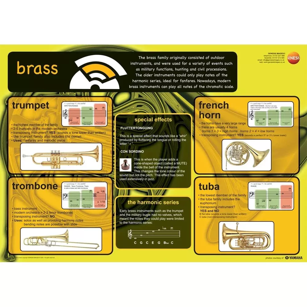Brass instruments educational poster (GNS-21)