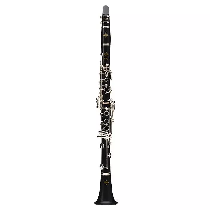 Buffet Prodige B Flat Clarinet – Gigbag