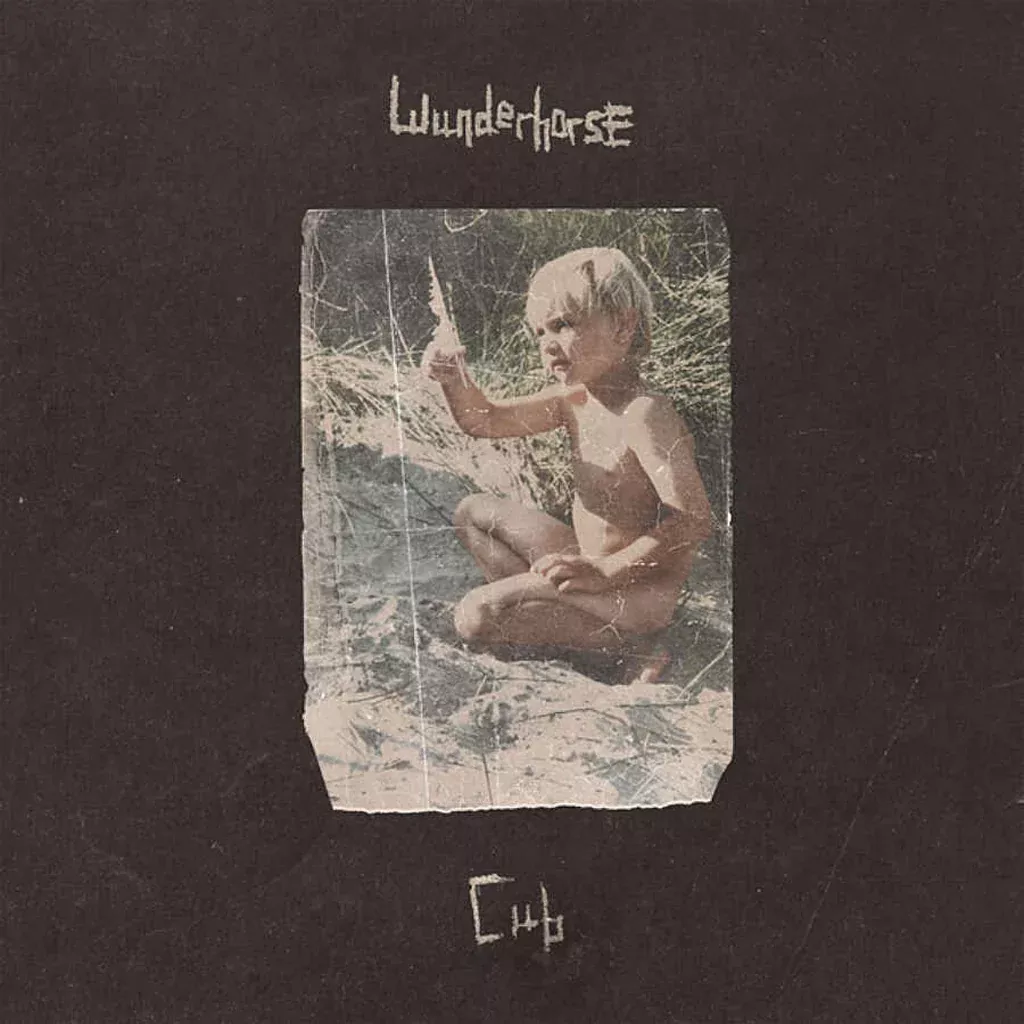 Cub – Wunderhorse (Vinyl) (AE)