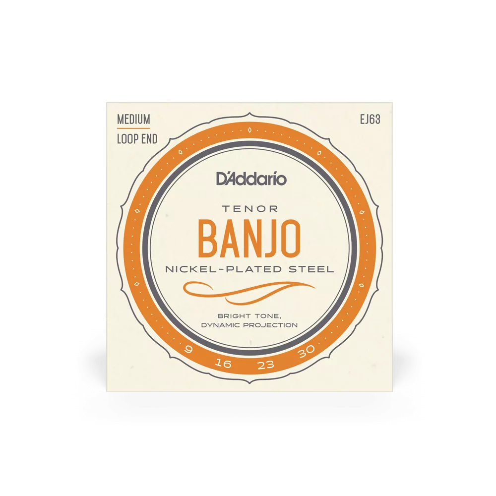 D'Addario EJ63 Tenor Banjo Strings