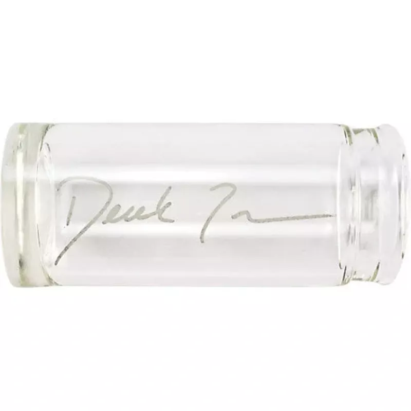 Derek Trucks Slide