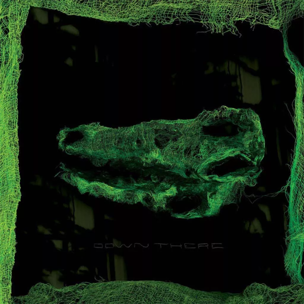 Down There - Avey Tare (Vinyl)