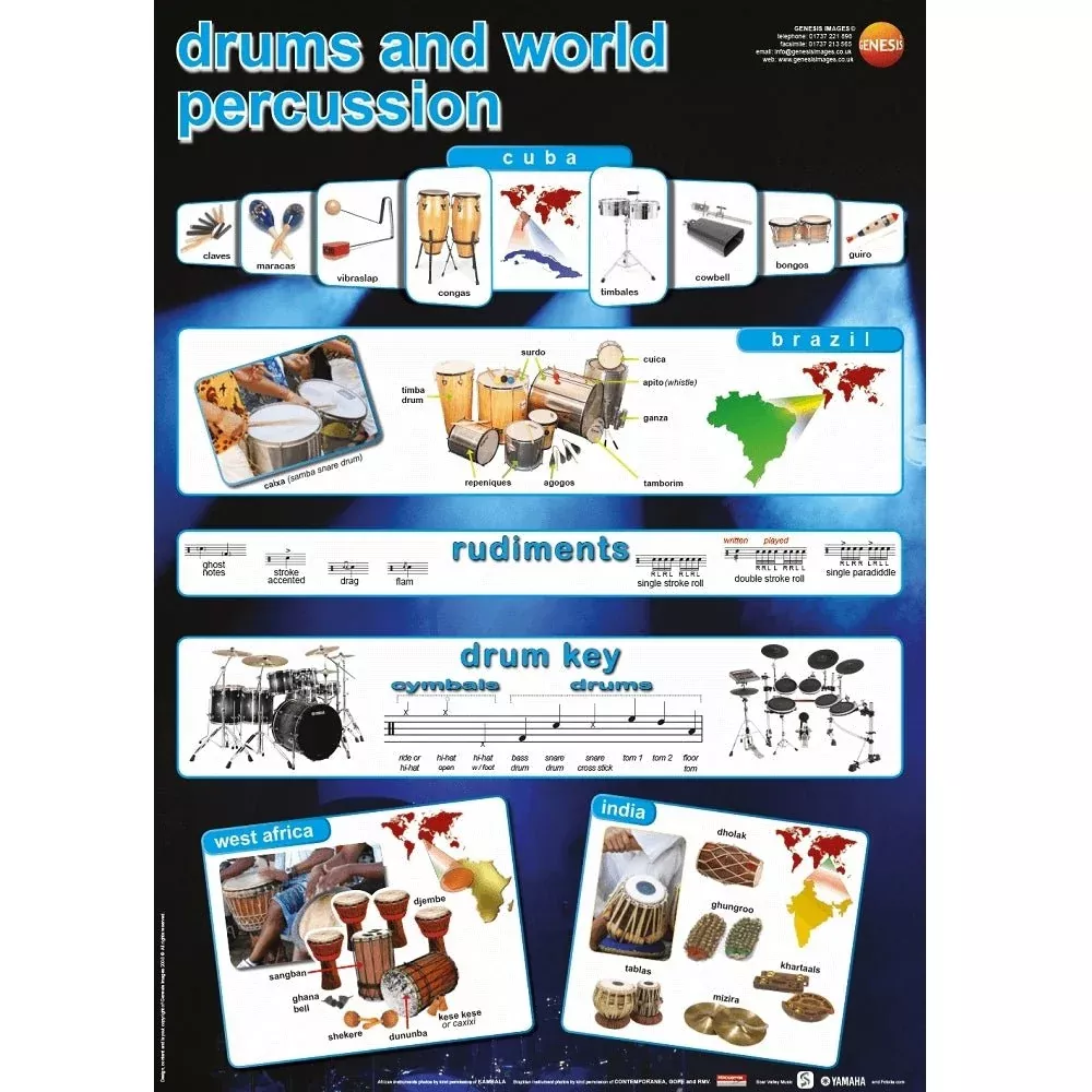 Drums and world percussion educational poster (GNS-28)