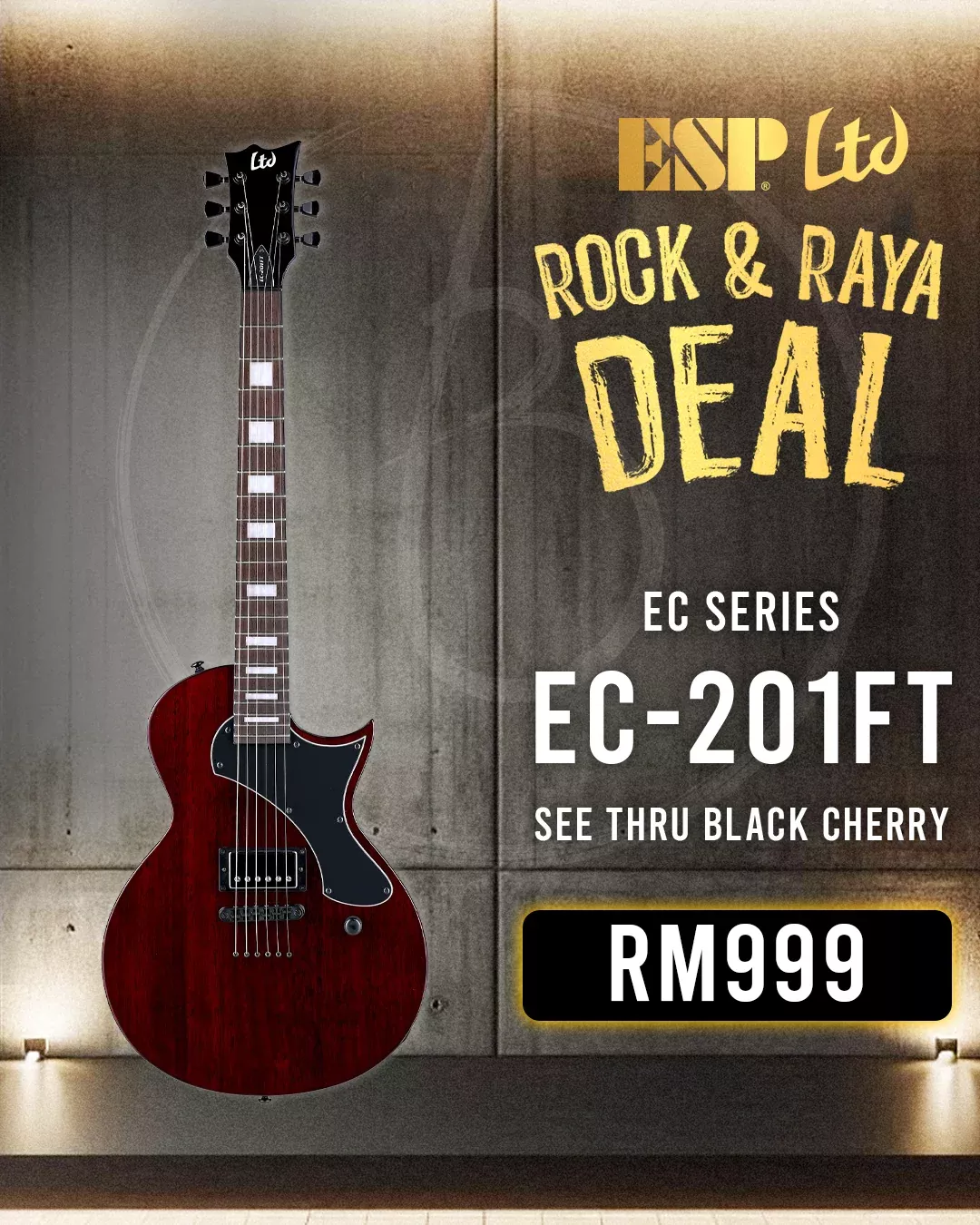 ESP LTD EC-201FT Electric Guitar - See Thru Black Cherry