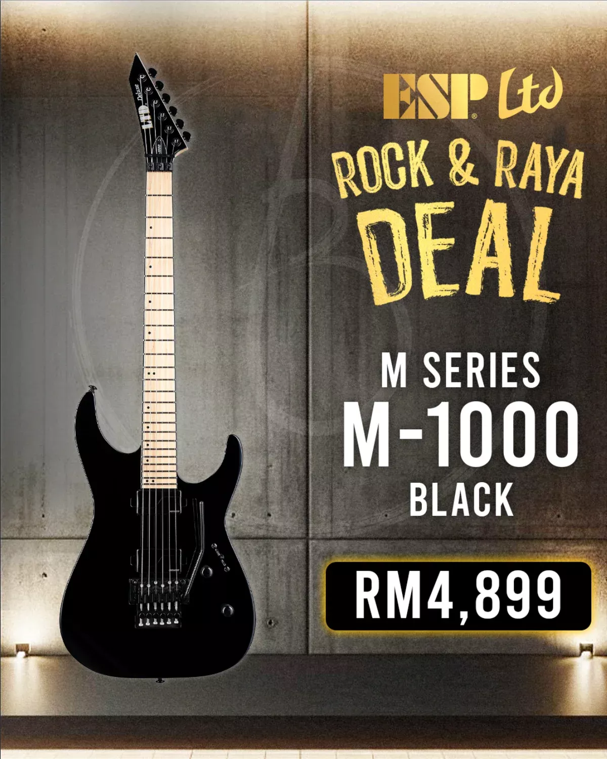 ESP LTD M-1000 Electric Guitar – Black
