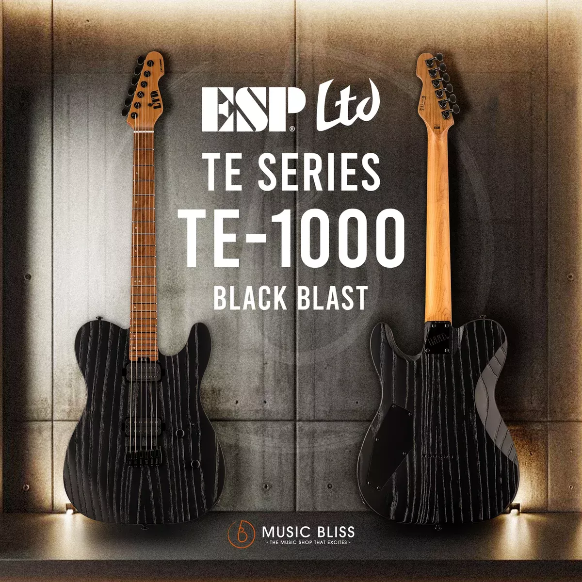 ESP LTD TE-1000 Electric Guitar – Black Blast
