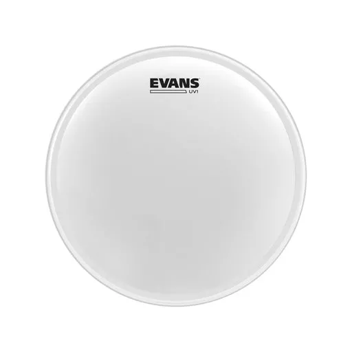 Evans BD16UV1 16inch UV1 Coated – Bass