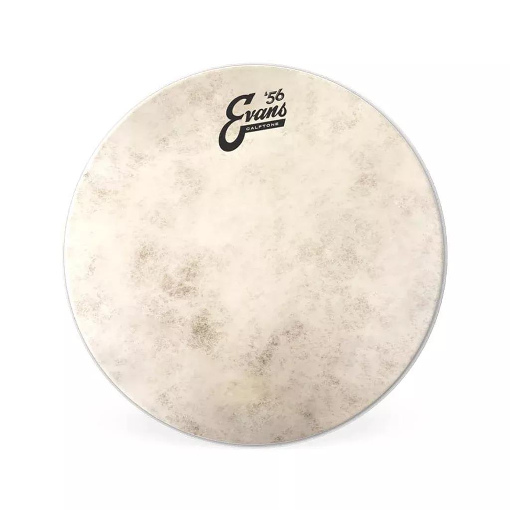 Evans TT15C7 15inch Calftone – Tom