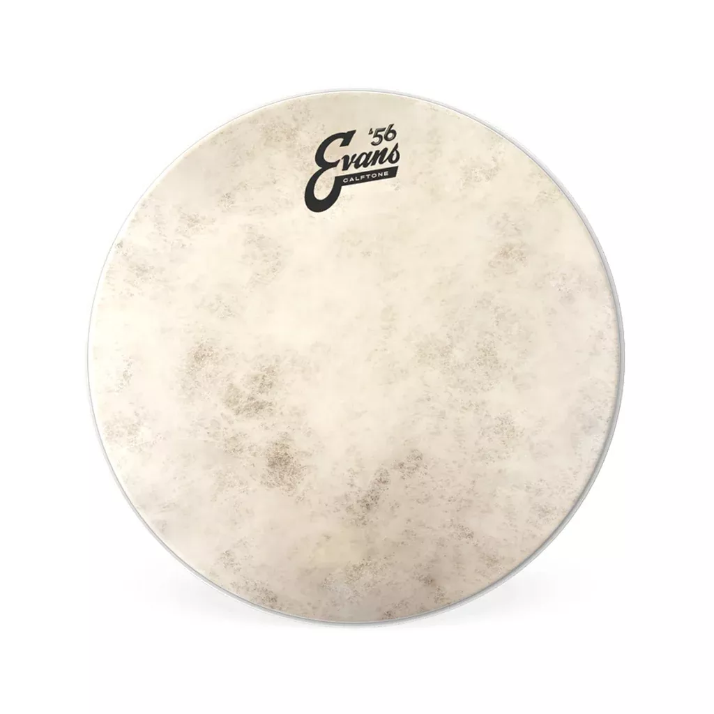 Evans TT18C7 18inch Calftone – Tom