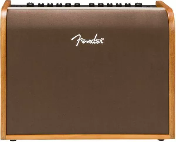Fender Acoustic 100 Guitar Amp