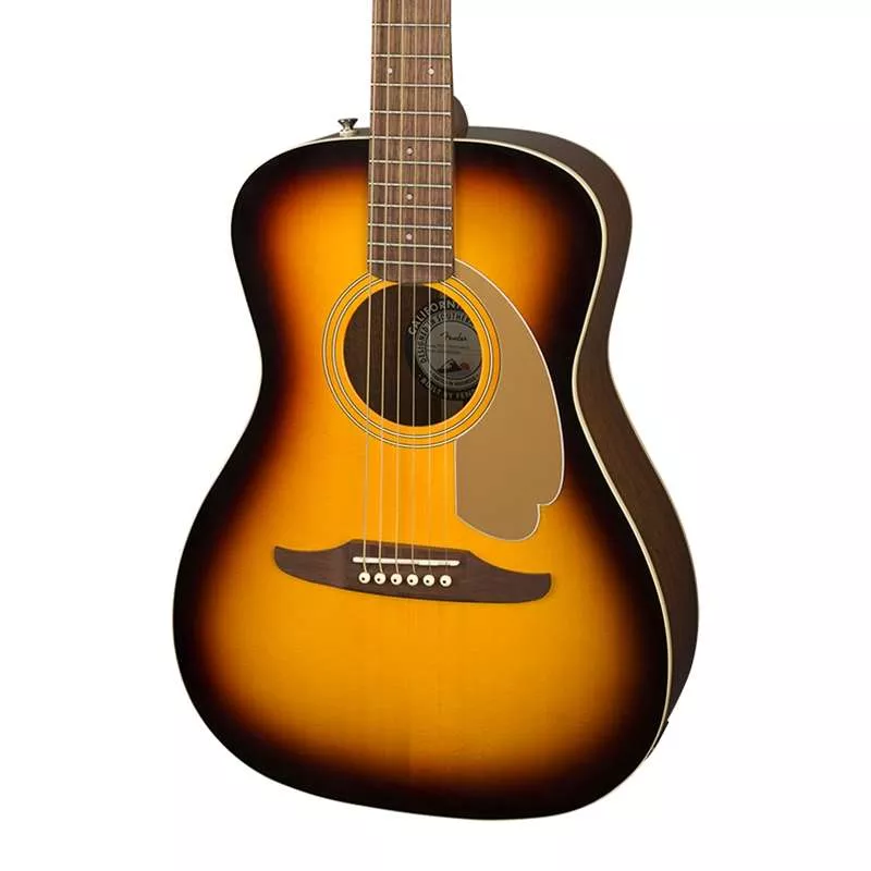 Fender – Malibu Player