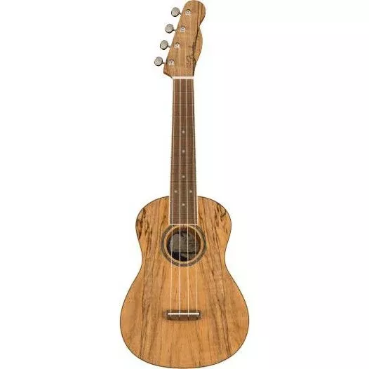 Fender Zuma Exotic Concert Ukulele