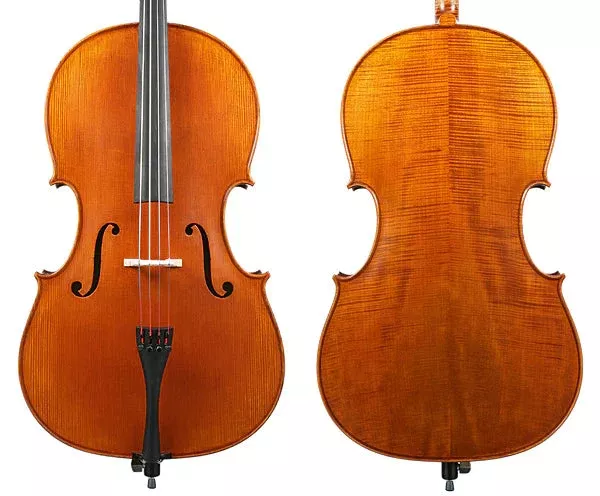 Gliga Vasile Advanced Cello Outfit