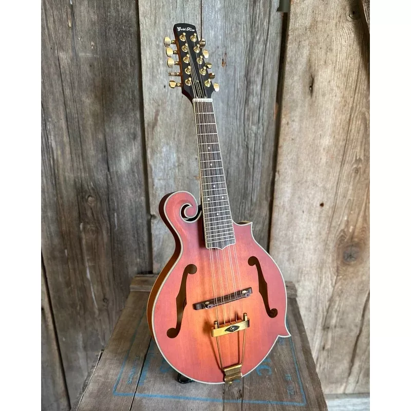 Gold Tone F-10 10-String Mandolin & Case, with Pickup