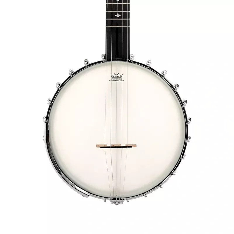 Gold Tone Maple Mountain MM-150LN Longneck Banjo & Case