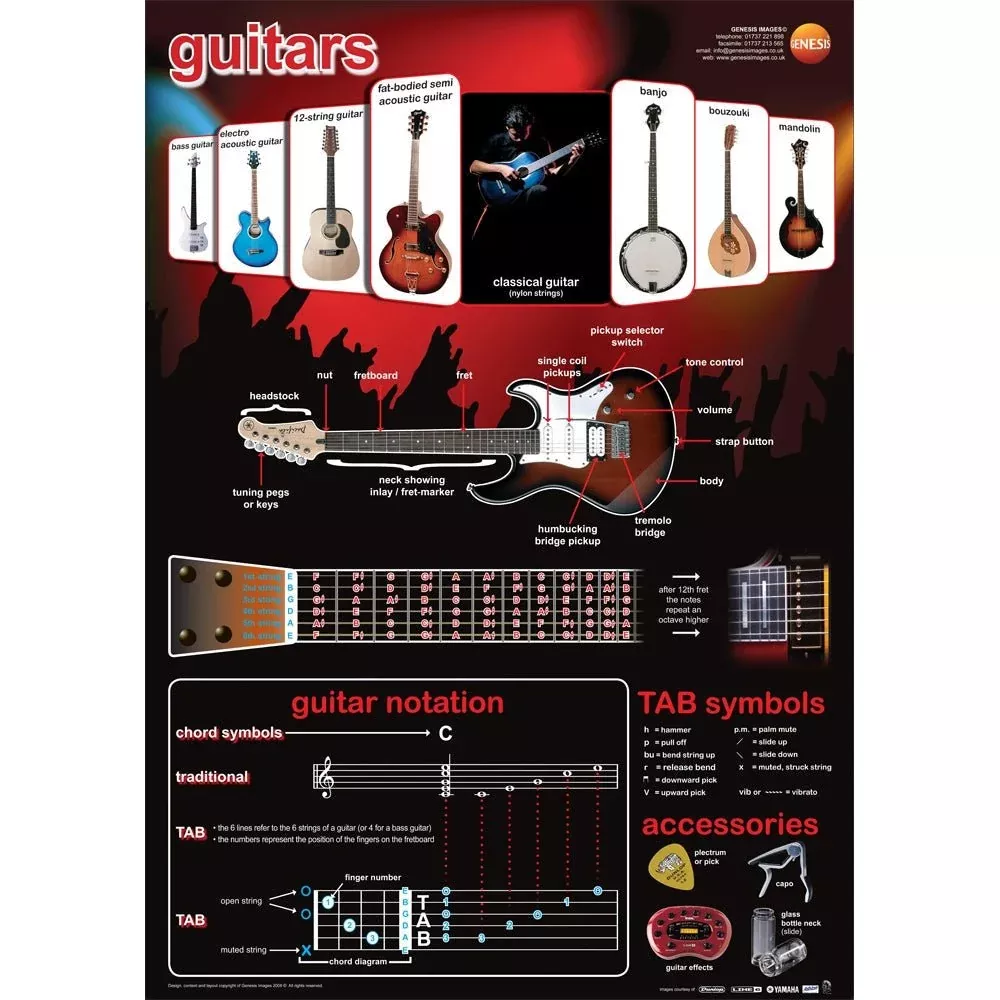 Guitars educational poster (GNS-25)
