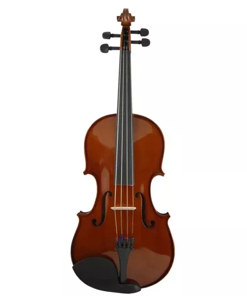 Hofner AS-045 16” Viola with Case