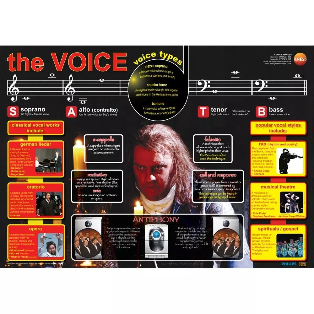 The human voice educational poster (GNS-26)
