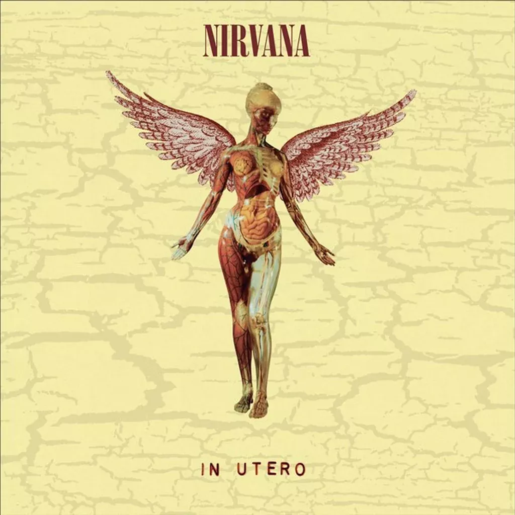 In Utero (2023 Reissue) - Nirvana (Vinyl) (BD)