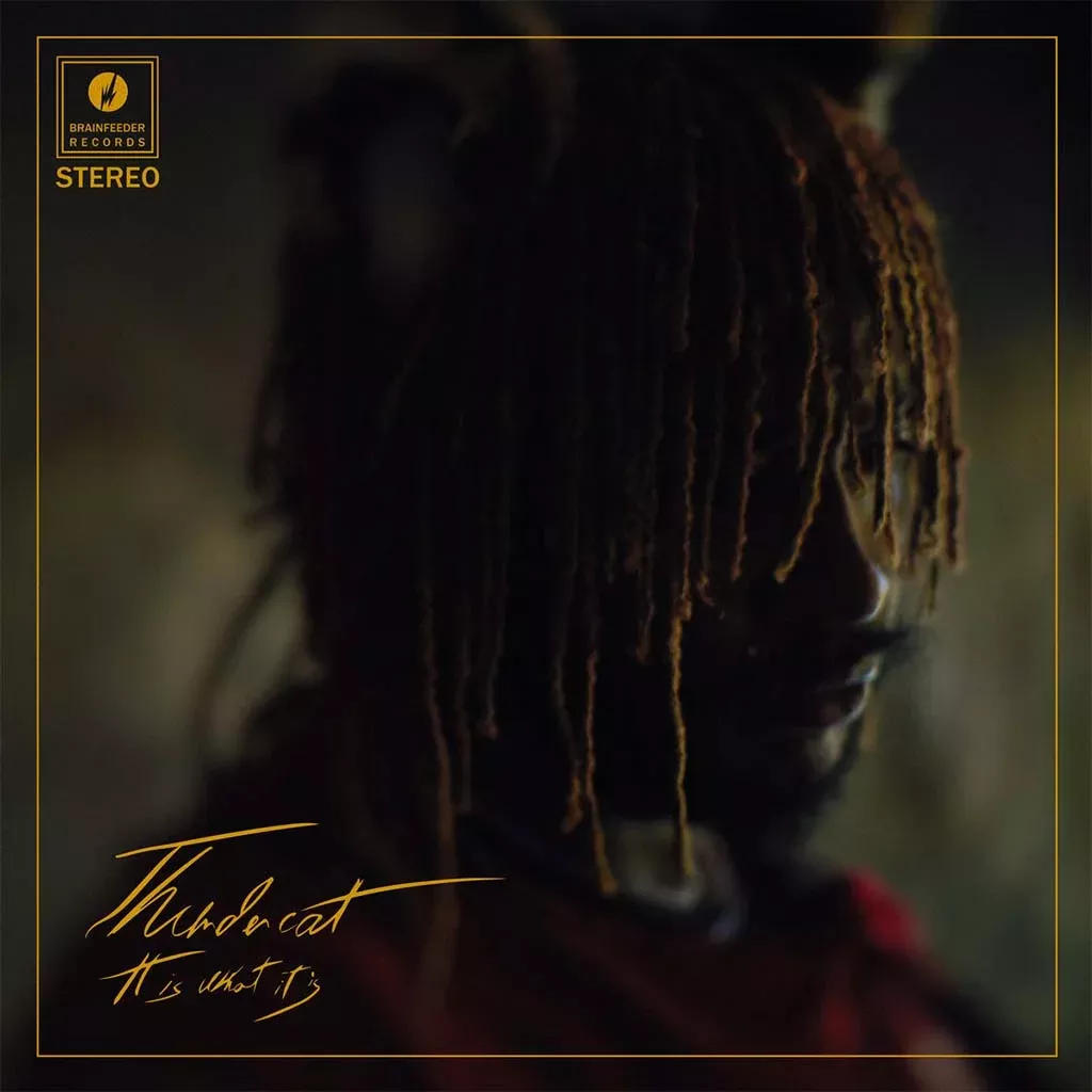 It Is What It Is (Clear Vinyl) - Thundercat (Vinyl)
