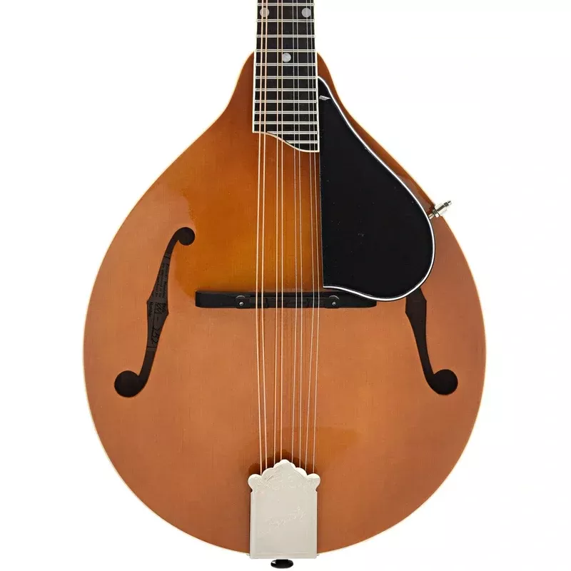Kentucky KM-252 Mandolin, A-Model Transparent Amber & Gigbag