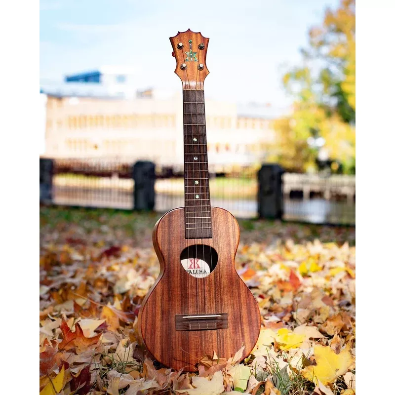 Koaloha KCM-00 Concert Ukulele (2017)