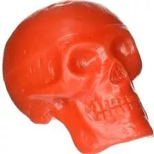 Latin Percussion BB24A Skull Shaker, Various Colors