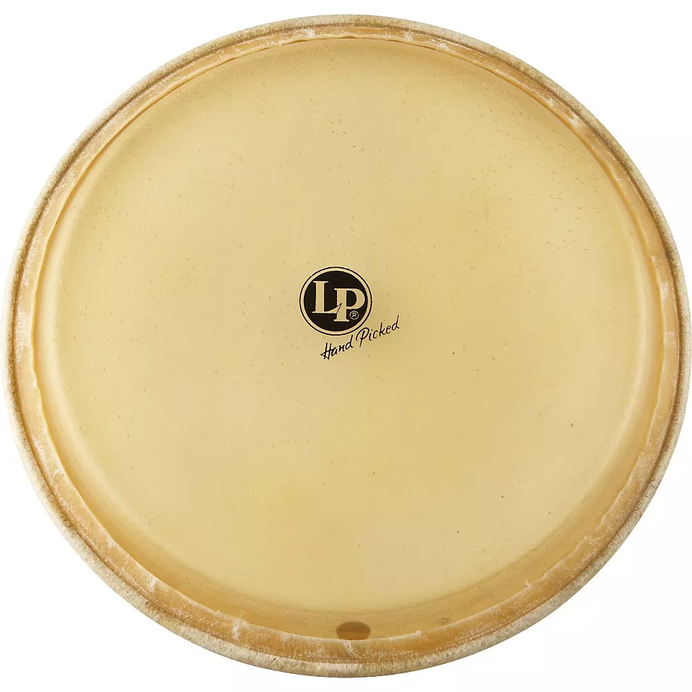 LP LP265C Conga Head 12.5 in.