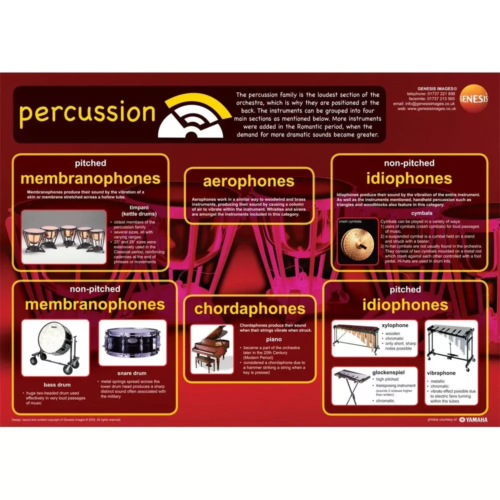 Percussion instruments educational poster (GNS-23)