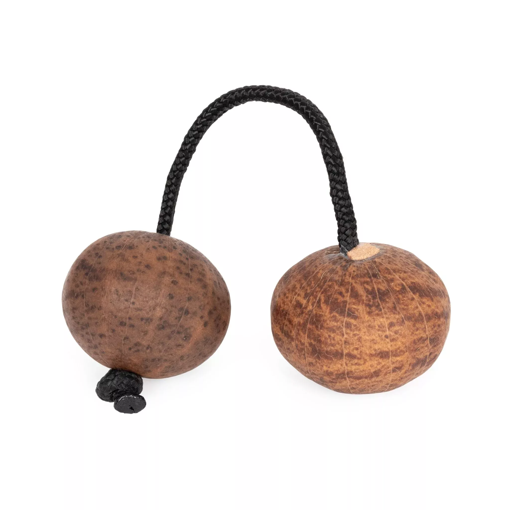 Percussion Plus Honestly Made Asalatua (PP6649)