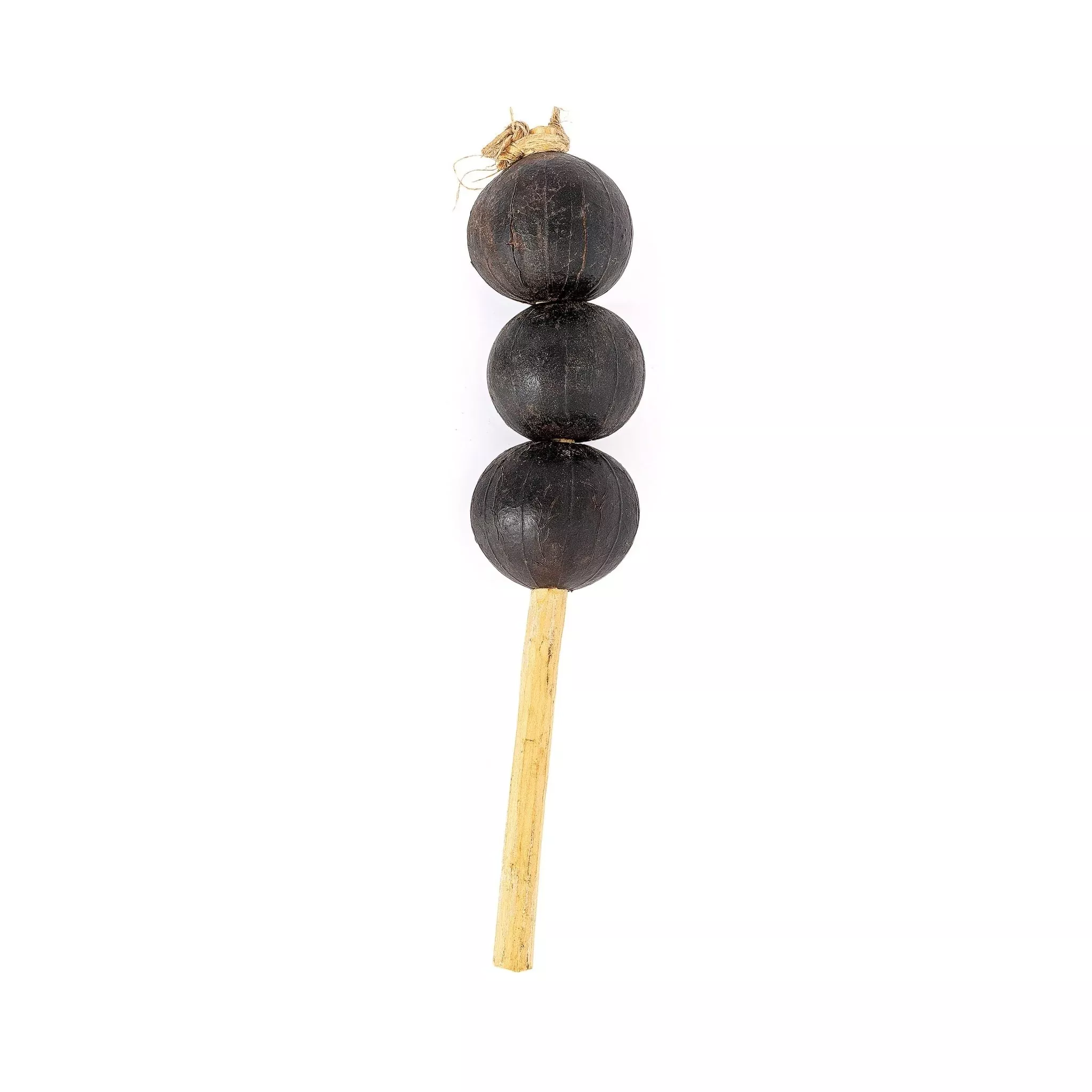 Percussion Plus Honestly Made Hosho maraca (PP2117)
