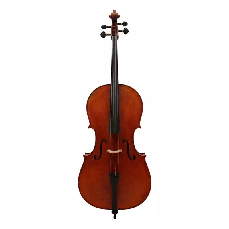 Peter Kauffman Cello 4/4