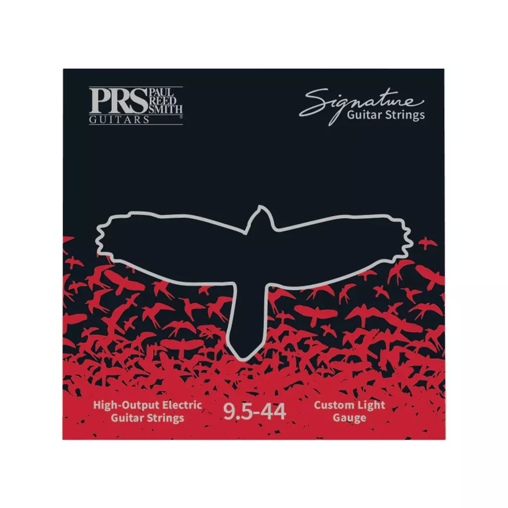PRS Signature Custom Light Electric Guitar Strings, 95-44