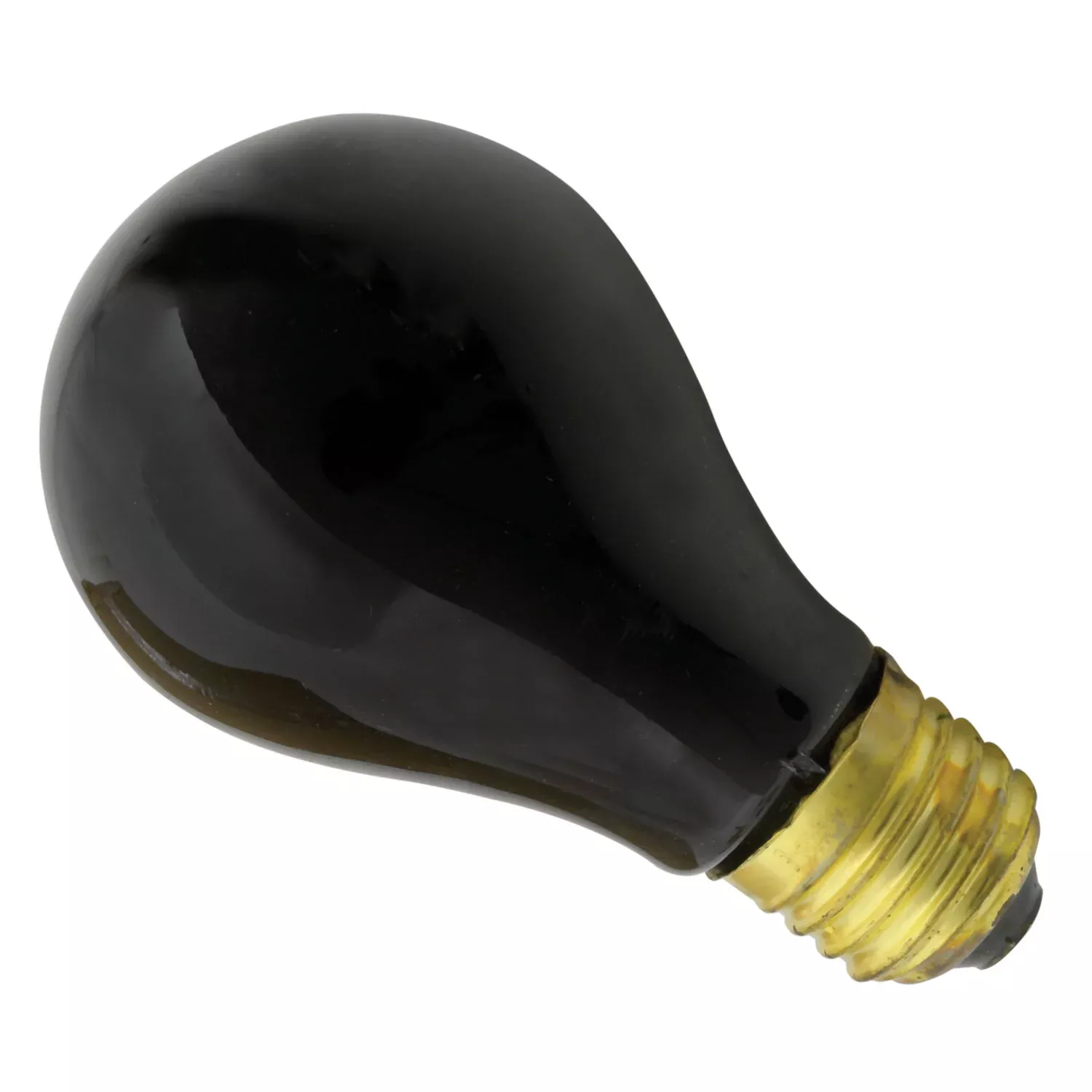 QTX 75W Black Light Bulbs