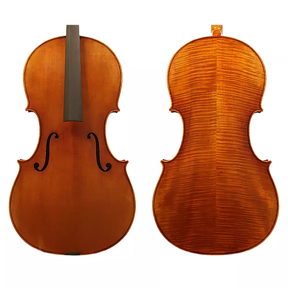 Raggetti Master Cello No.6.0 - Garimberti
