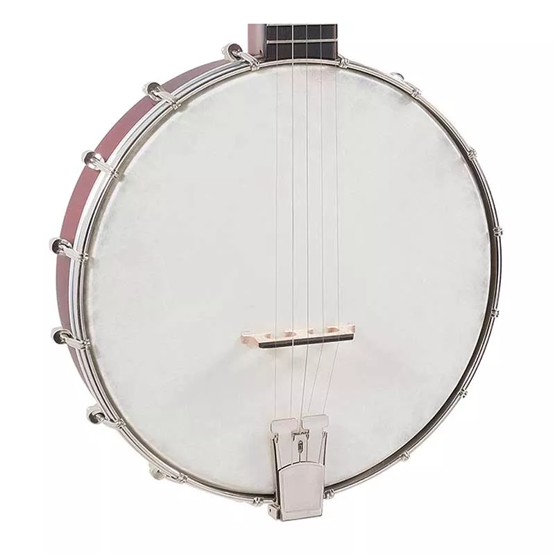 Recording King RKOH-05 Dirty 30s Open Back Banjo