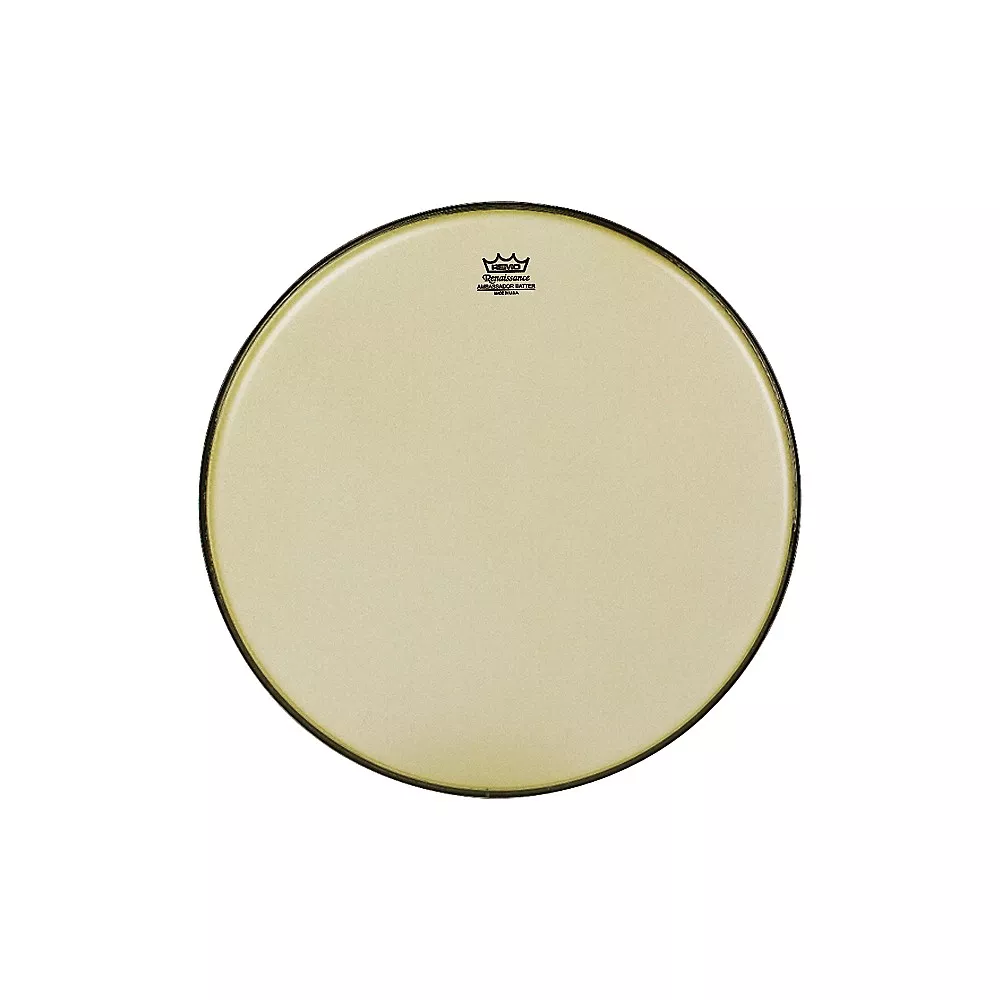 Remo Renaissance Ambassador Tom Batter 16 in.