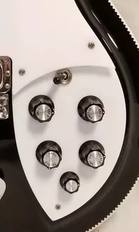 Rickenbacker 381v69 Lower Pickguard 03433