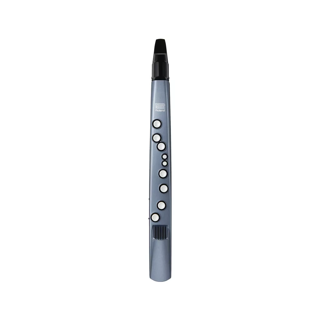 Roland AE-01 Aerophone mini Digital Wind Instrument