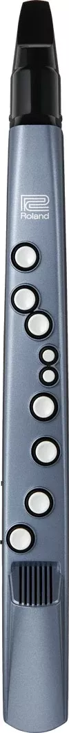 Roland AE01 Aerophone MINI