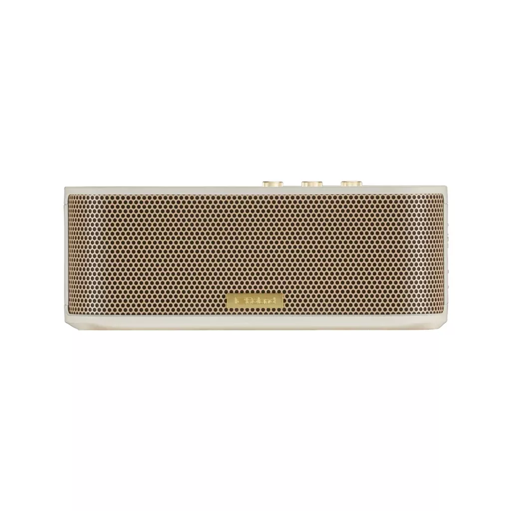Roland Bluetooth Speaker with Instrument Input