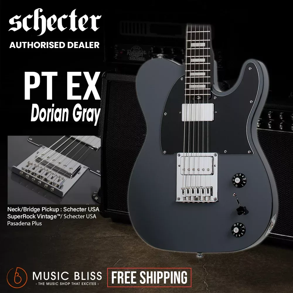 Schecter PT EX Electric Guitar – Dorian Gray