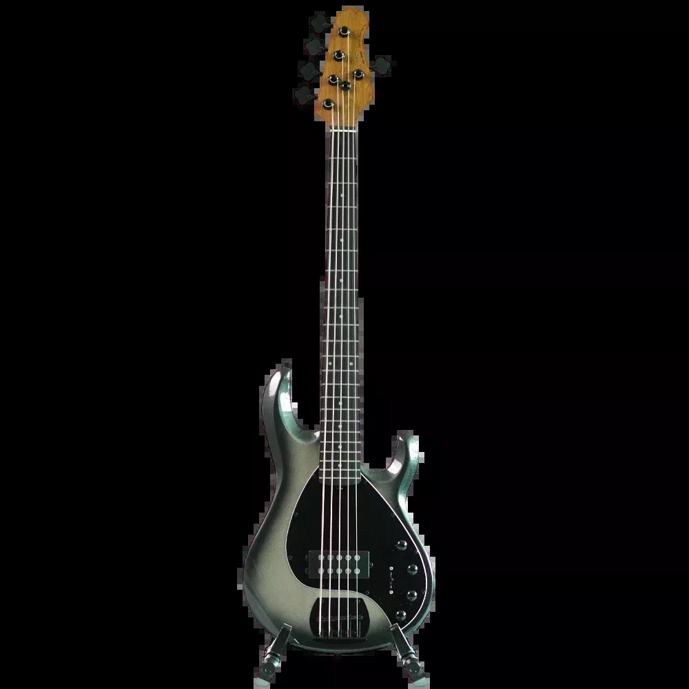 SQOE SBMS500 5 String Bass Guitar – Metallic Silverburst