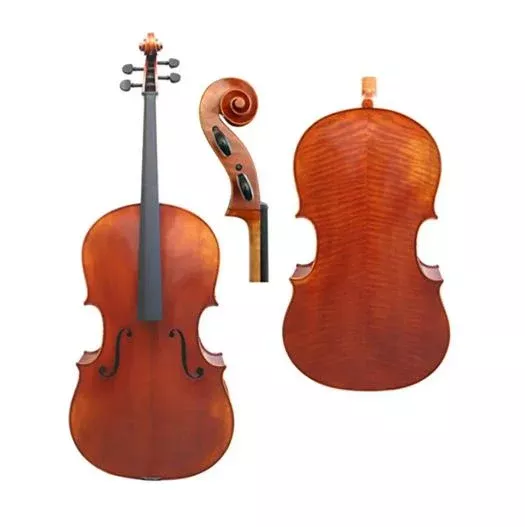 Strad Professional 2 Master Cello - Sleeping Beauty 1739