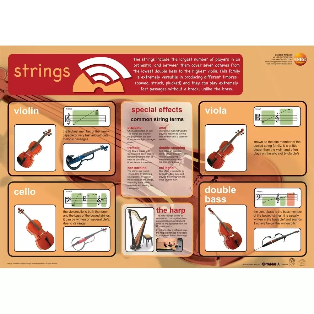 Stringed instruments educational poster (GNS-24)