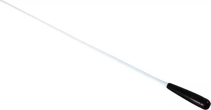 Symphony Baton