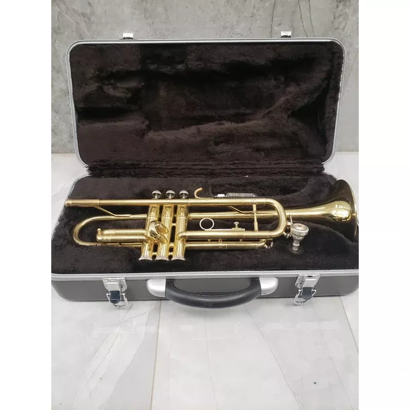 Taishan Winds TSTR-801 – USED Case damaged