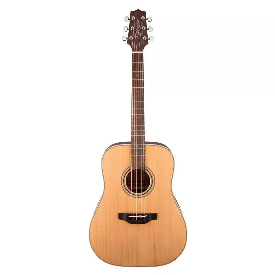 Takamine GD20NS Dreadnought Acoustic Guitar