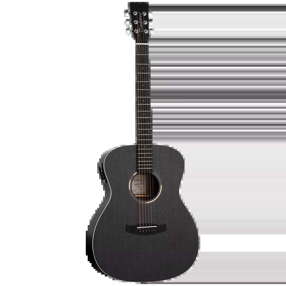 Tanglewood Blackbird Orchestra A/E Guitar Pack with DCM Premium Case